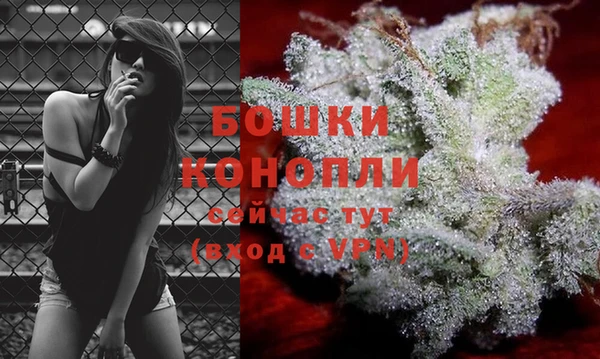 молекула духа Белоозёрский